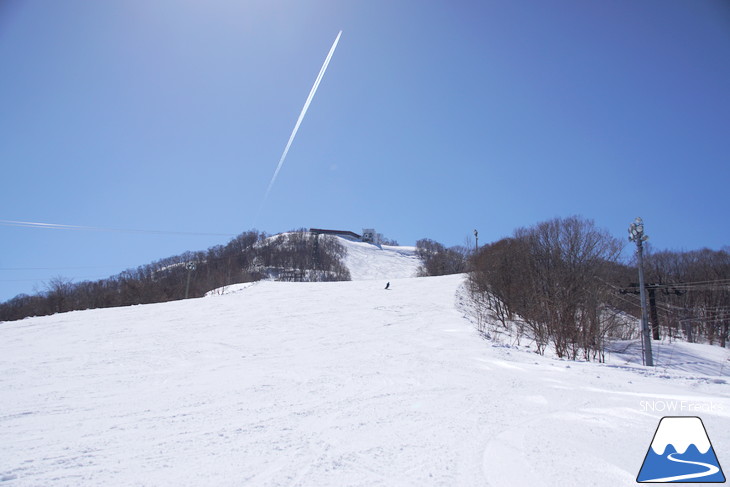 小樽天狗山ロープウェイスキー場 積雪たっぷり！絶景春スキー☆